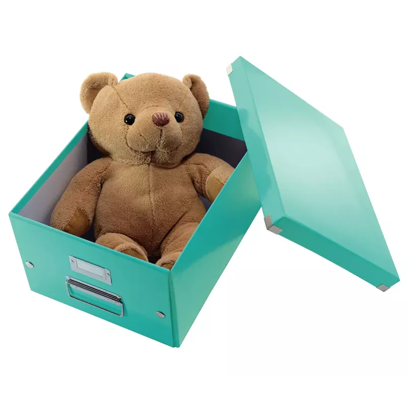 Storage Box Leitz Click & Store Medium Box