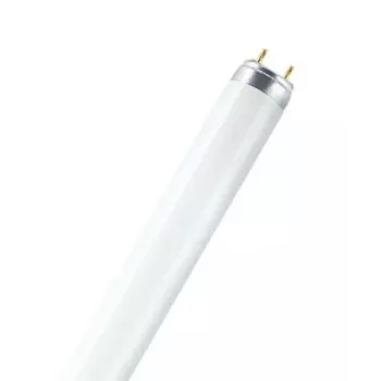 Osram Lumilux T5 Short fluorescent bulb 8 W G5 Cool white 430 lm