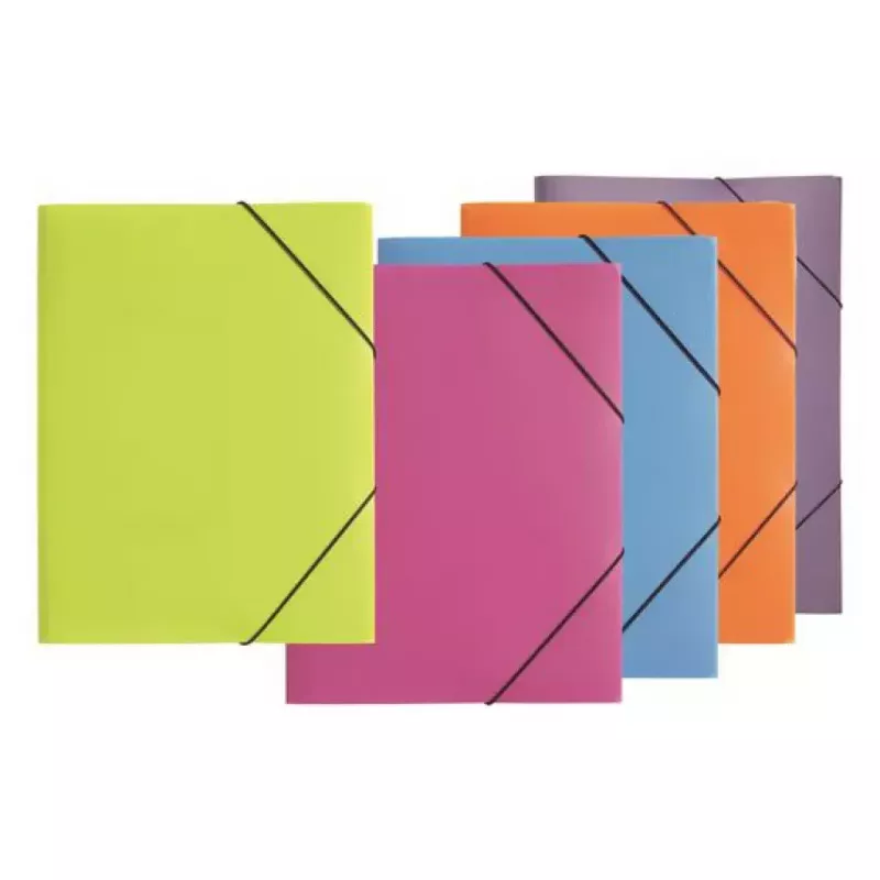 Folder Polypropylene (PP) Transparent A3 Pagna 21638-19