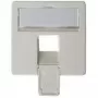 Face plate 50×50 mm for AMJ45 8/8 UP/O, Telegärtner, alpine white