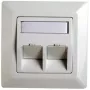 RJ45 Adaptor Frame Cat.5e Telegärtner H02010A0040 45° Double 80x80 mm Alpine White