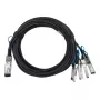 DAC Cable BlueOptics MCP7F00-A01AR-BL 2m QSFP28 to 4x SFP28 Black