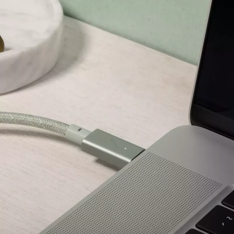 Native Union Belt Cable Pro USB-C to USB-C, 2.4 m, LED Display, Rose