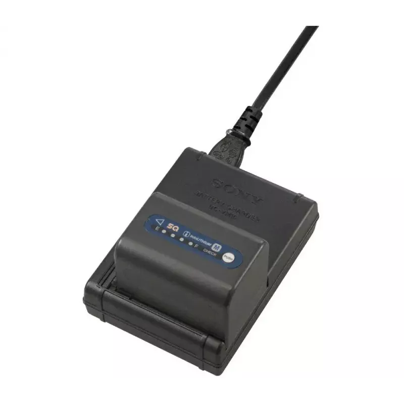 Battery Charger Sony BC-VM10