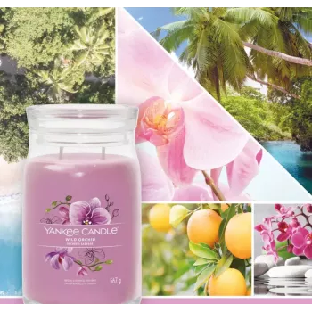 Wax Candle Yankee Candle Wild Orchid Height 157 mm Width 93 mm