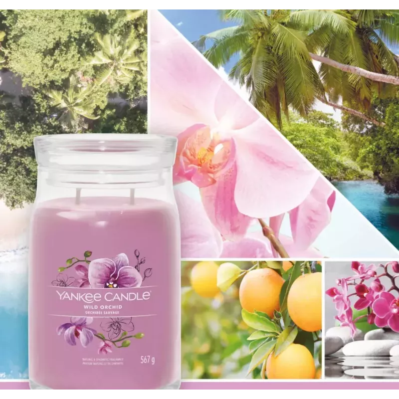 Wax Candle Yankee Candle Wild Orchid Height 157 mm Width 93 mm