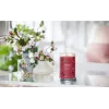 Wax Candle Yankee Candle 1724478E Cherry Red 149mm 567g