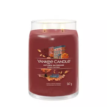 Wax Candle Yankee Candle 1743378E Red 157mm Height 9.3cm Diameter 567g