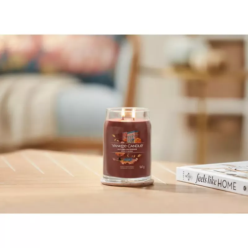 Wax Candle Yankee Candle 1743378E Red 157mm Height 9.3cm Diameter 567g