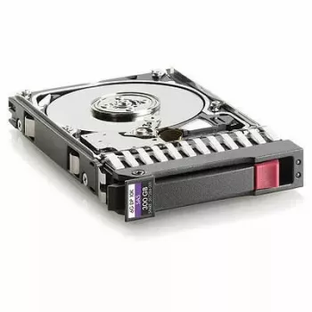 Hewlett Packard Enterprise Hot-Plug hard disk 300GB 10K RPM 2.5