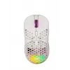 Mouse pad FOURZE GM900