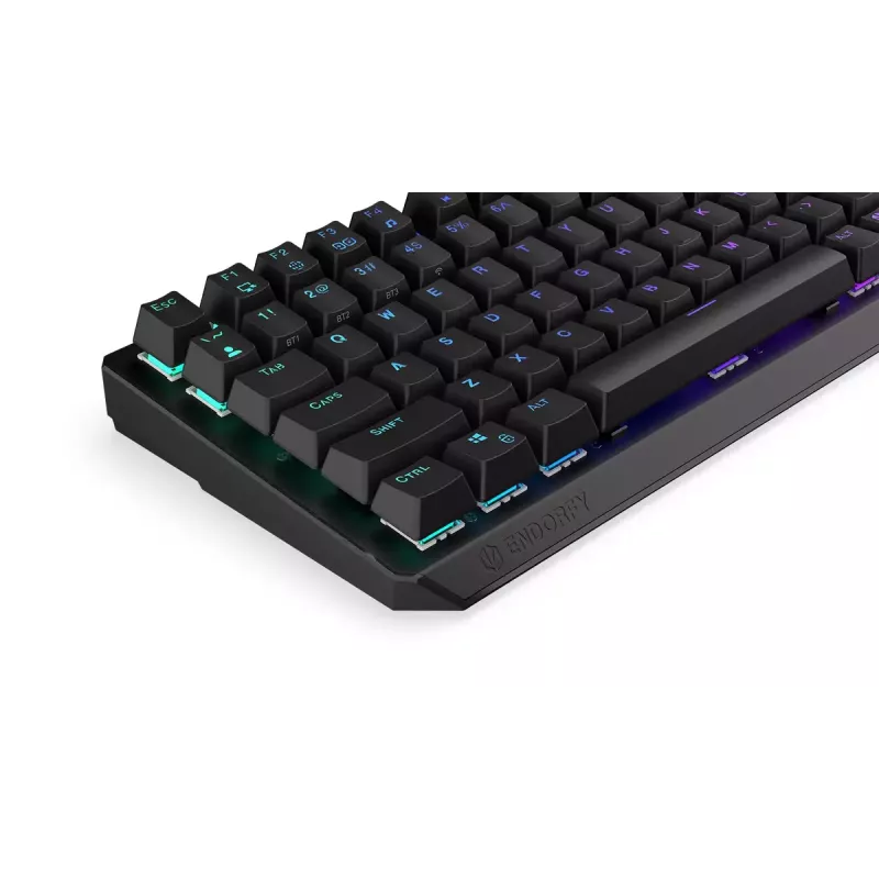 Keyboard ENDORFY Thock 75% Wireless Red Mechanical RGB LED Black