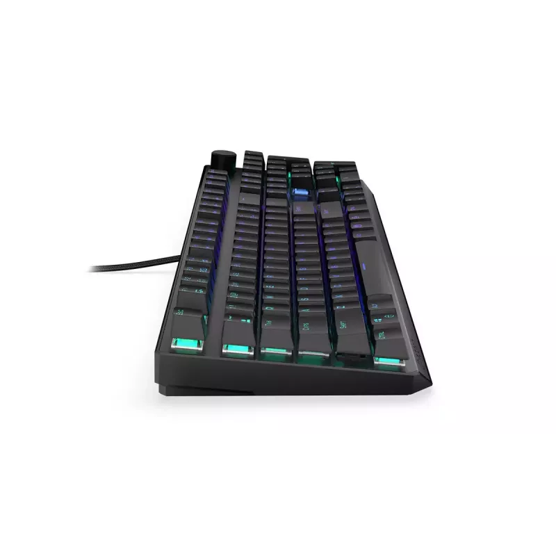 Gaming Keyboard ENDORFY Thock RF Wireless USB Mechanical RGB Black