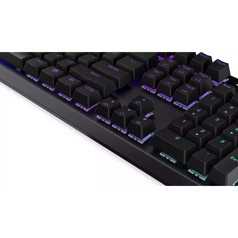 Gaming Keyboard ENDORFY Thock RF Wireless USB Mechanical RGB Black