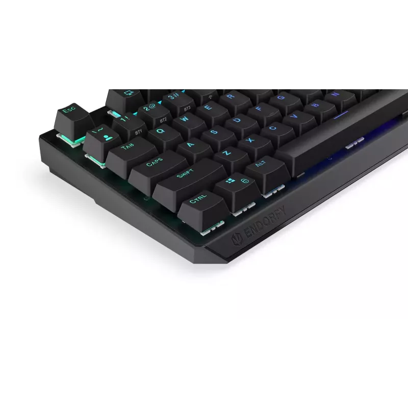 Gaming Keyboard ENDORFY Thock RF Wireless USB Mechanical RGB Black