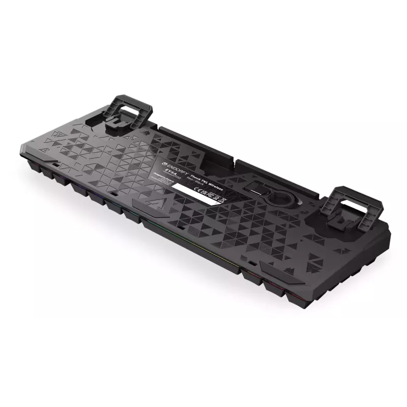 Keyboard ENDORFY Thock TKL Wireless Black Mechanical RGB LED 87 Keys