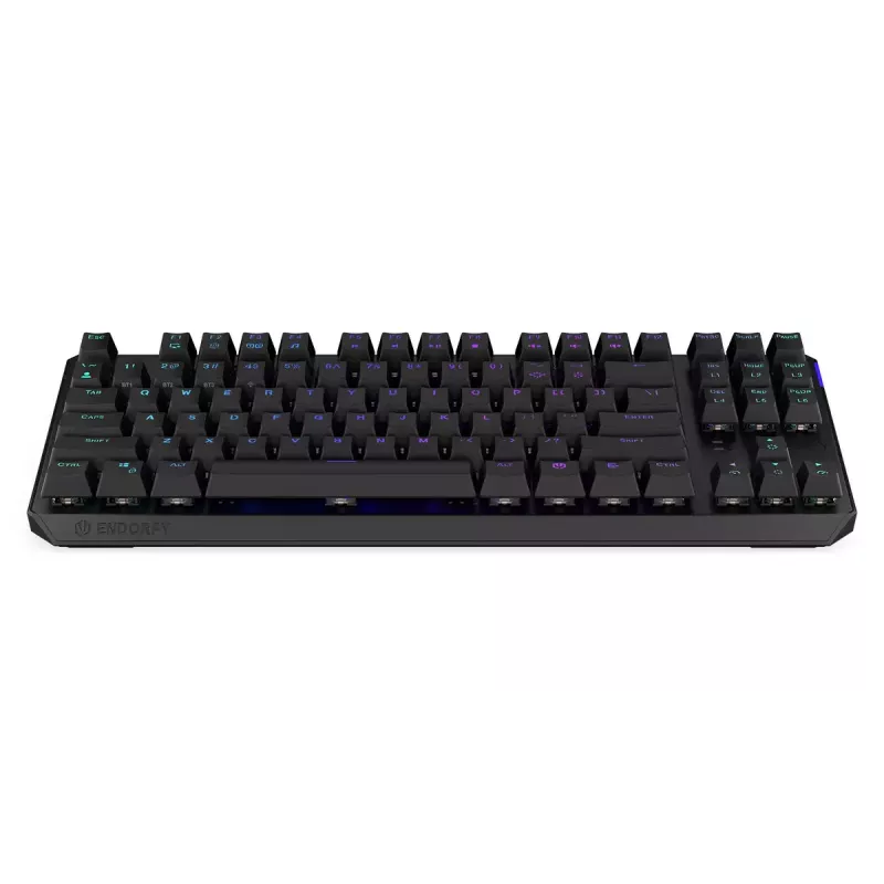 Keyboard ENDORFY Thock TKL Wireless Black Mechanical RGB LED 87 Keys