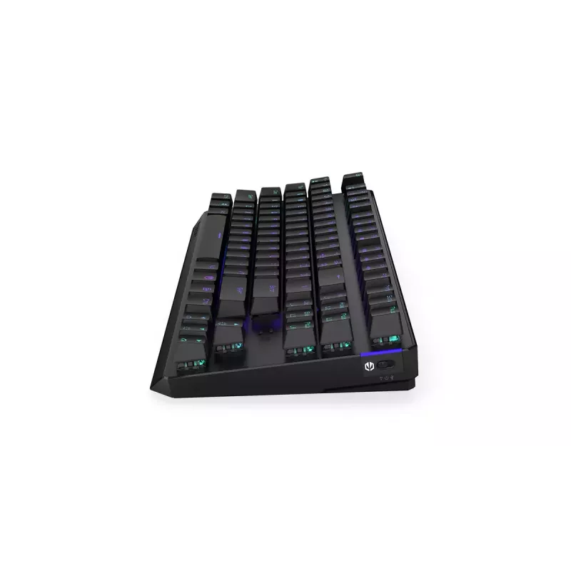 Keyboard ENDORFY Thock TKL Wireless Black Mechanical RGB LED 87 Keys
