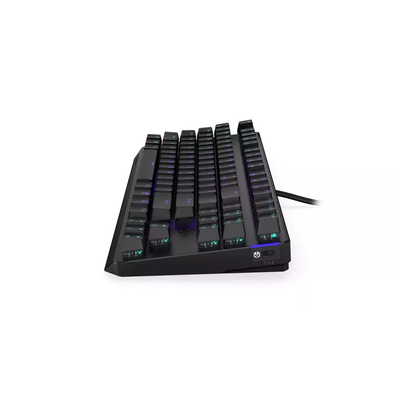 Keyboard ENDORFY Thock TKL Wireless Black Mechanical RGB LED 87 Keys