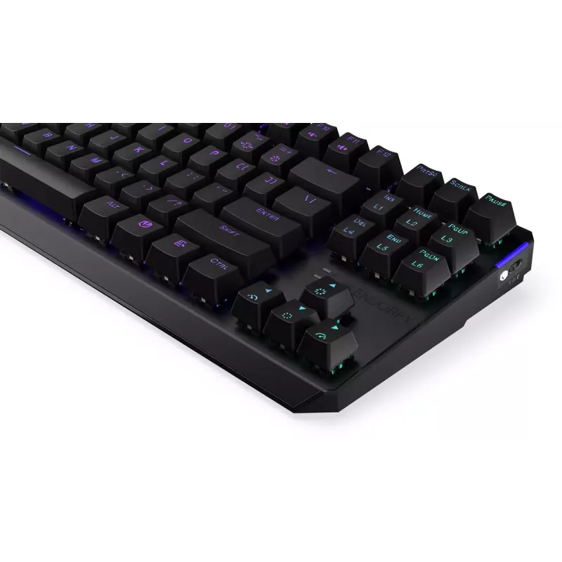 Keyboard ENDORFY Thock TKL Wireless Black Mechanical RGB LED 87 Keys