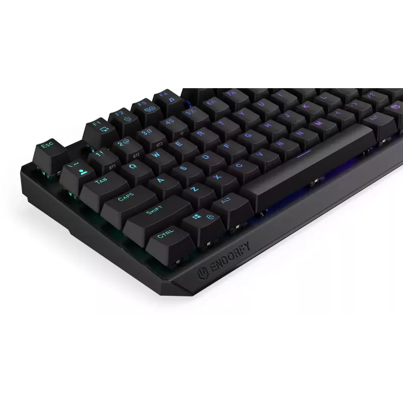 Keyboard ENDORFY Thock TKL Wireless Black Mechanical RGB LED 87 Keys
