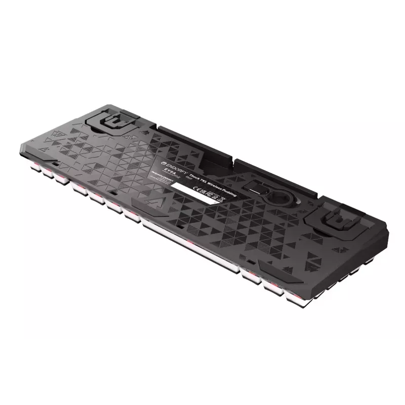 Gaming Keyboard ENDORFY TKL USB Mechanical 87 Keys RGB Black