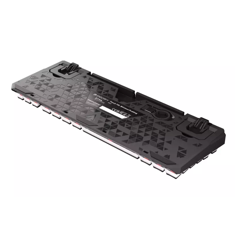 Gaming Keyboard ENDORFY TKL USB Mechanical 87 Keys RGB Black