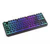 Gaming Keyboard ENDORFY TKL USB Mechanical 87 Keys RGB Black