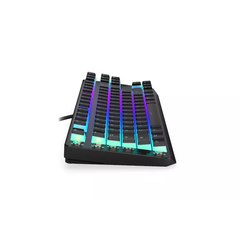 Gaming Keyboard ENDORFY TKL USB Mechanical 87 Keys RGB Black