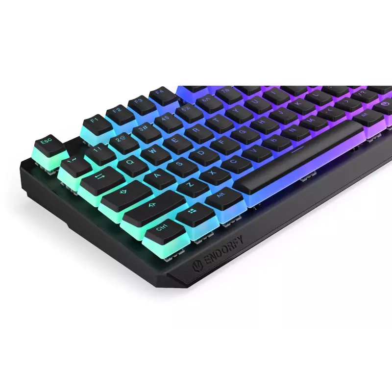 Gaming Keyboard ENDORFY TKL USB Mechanical 87 Keys RGB Black