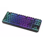 Gaming Keyboard ENDORFY TKL USB Mechanical 87 Keys RGB Black