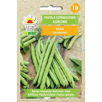 Toraf green dwarf string bean 'Ferrari' (Phaseolus vulgaris) seeds, 30 g