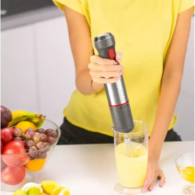 Immersion blender Zelmer ZHB4652 VARIO Grey Silver