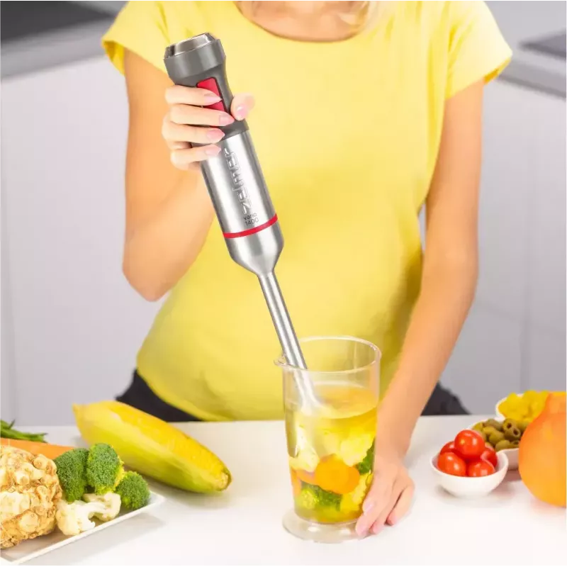 Immersion blender Zelmer ZHB4652 VARIO Grey Silver
