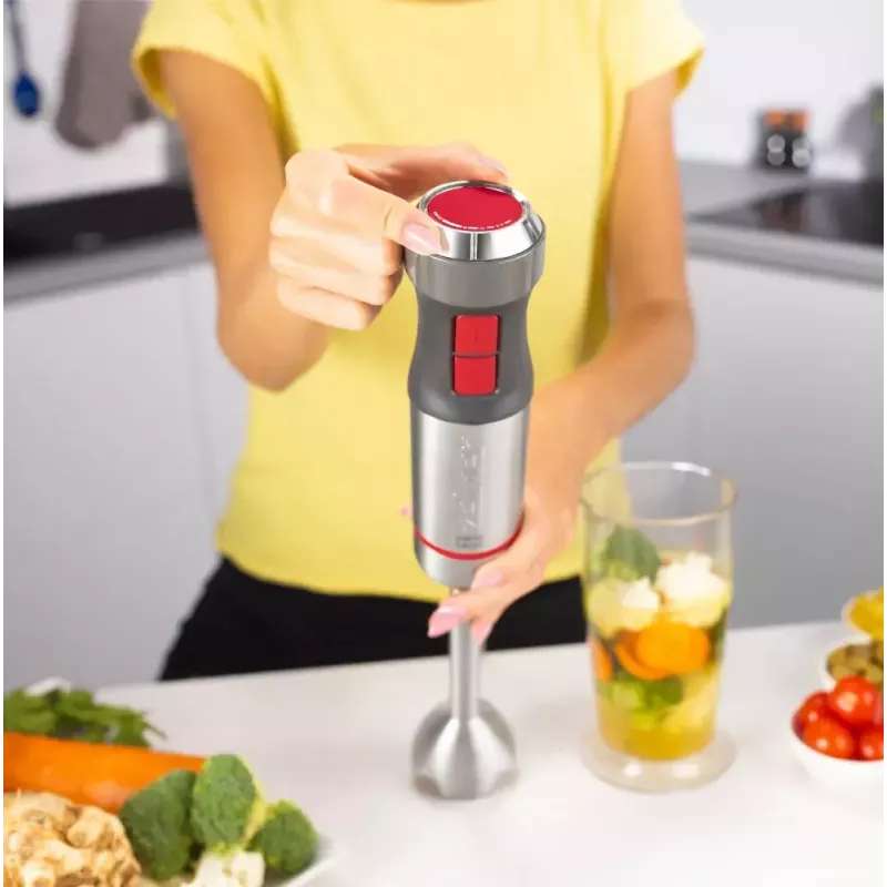 Immersion blender Zelmer ZHB4652 VARIO Grey Silver