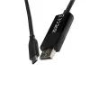 Cable gender changer USB Type-C 3.2 Gen 1 DisplayPort Black V7 V7UCDP-2M