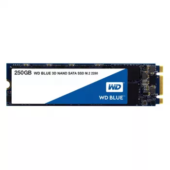 SSD disk Western Digital 250 GB M.2 6 Gbit/s WDS250G2B0B