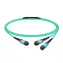 InfiniBand/fibre optic cable NVIDIA MFP7E20-N003, MPO to 2×MPO, multimode, 3 m, blue