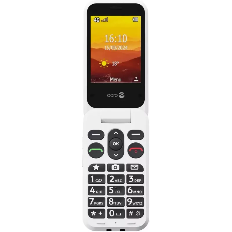 Mobile phone Doro Leva L31 2.8 inch