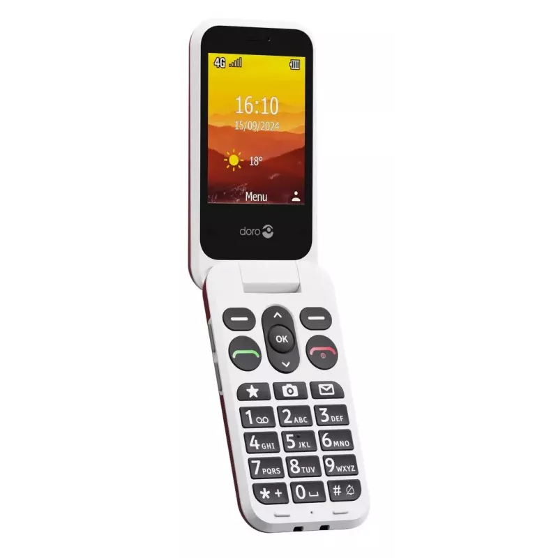 Feature phone Doro Leva L21 2.8 inch
