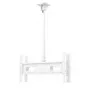 SMS Smart Media Solutions Func White Maximum weight capacity 50 kg Tilt angle -10 to 10 degrees
