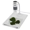 Digital microscope Carson EFLEX 300x, 75–300x magnification, 1600×1200 camera, grey/white