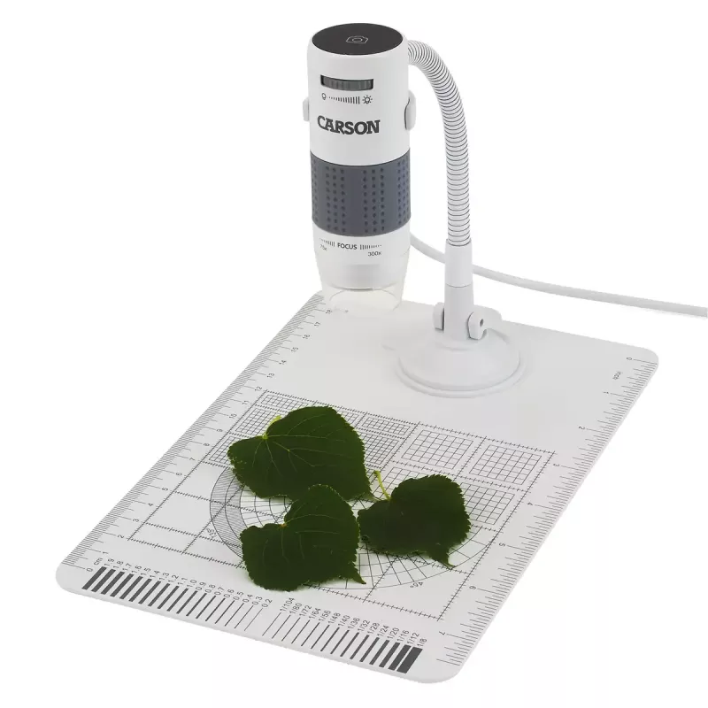 Digital microscope Carson EFLEX 300x, 75–300x magnification, 1600×1200 camera, grey/white