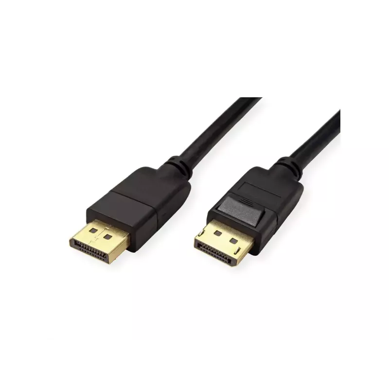 DisplayPort cable ROLINE 11.45.5811-10 2 m Black