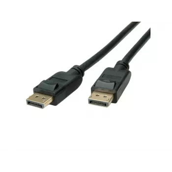 DisplayPort cable ROLINE 11.45.5811-10 2 m Black