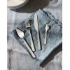 Kitchen cutlery set ALESSI BG02S24 — table knife and fork set, stainless steel