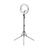 HomeStream HS-PROMPTER-RL Ikan