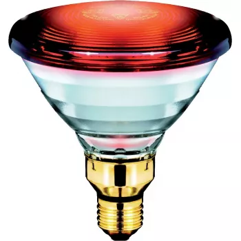Philips PAR38 IR 150 W E27 230 V Red infrared healthcare bulb