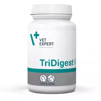VetExpert TriDigest 40 tablets.