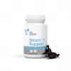 VetExpert NeuroSupport 45 capsules.